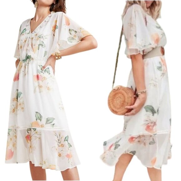 Farm Rio for Anthropologie Sheer Flutter Sleeve Eloisa Floral Dress NWOT Size M - Picture 1 of 5